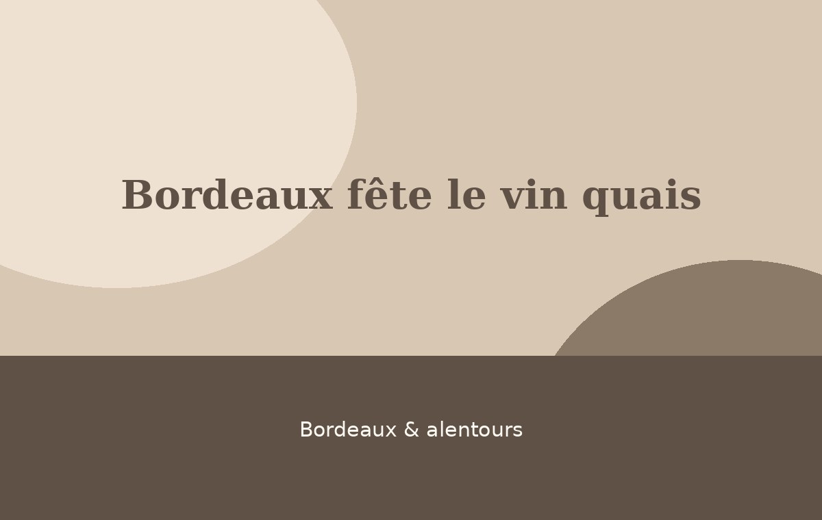 Bordeaux fête le vin quais